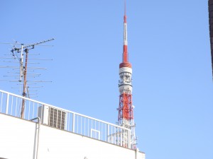 Fuji Residence - View