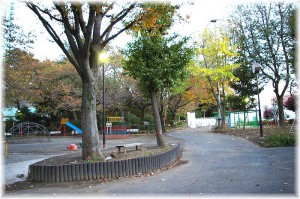 Mita has well-kept playgrounds