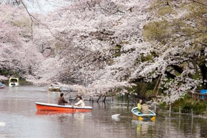 inokashira