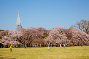 shinjukukoen